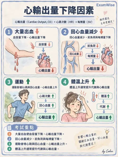 職治 - 心血管、血液與免疫生理 - AI 圖文解析預覽