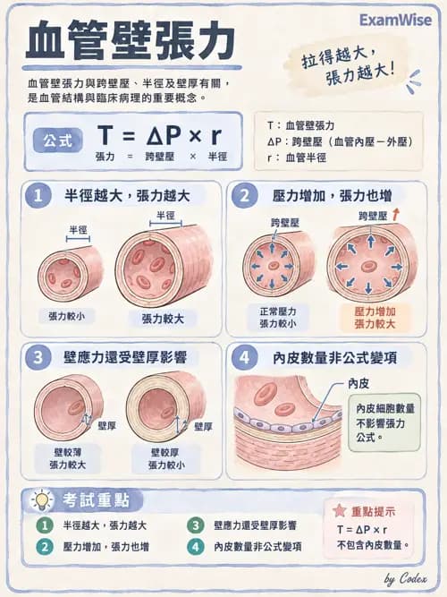 職治 - 心血管、血液與免疫生理 - AI 圖文解析預覽