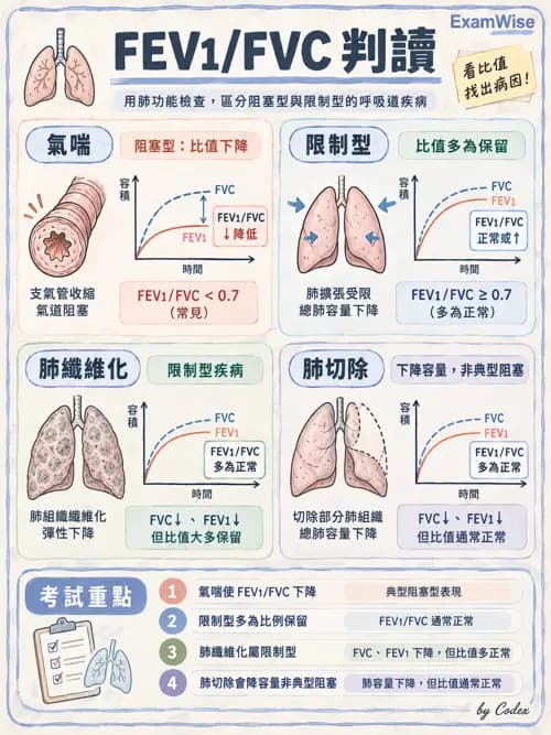 職治 - 呼吸生理 - AI 圖文解析預覽