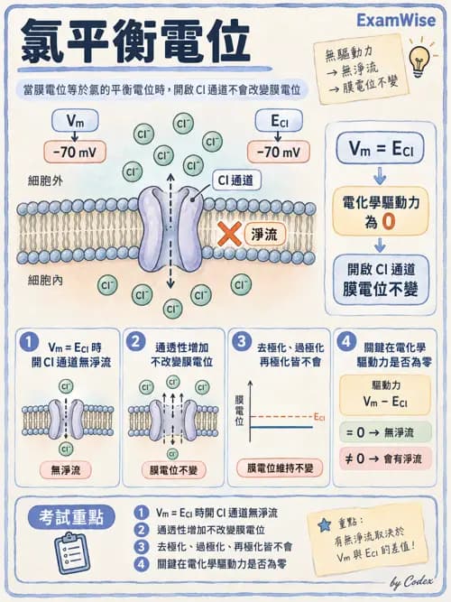 職治 - 細胞與膜生理 - AI 圖文解析預覽