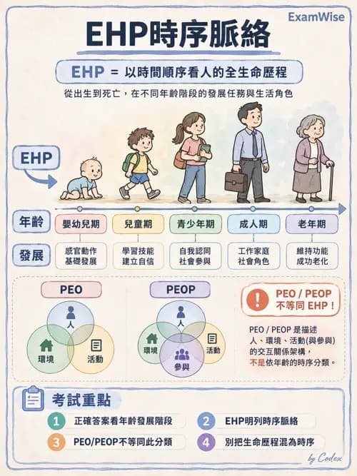職治 - 以職能為基礎的理論模式 - AI 圖文解析預覽