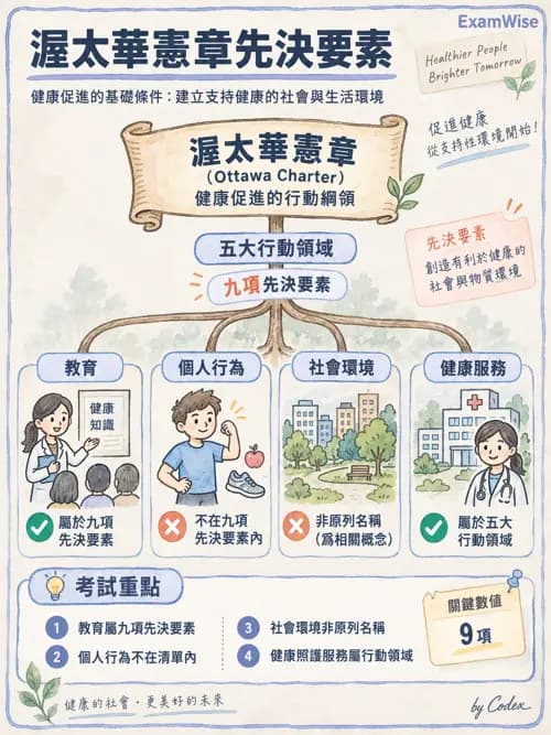職治 - 服務場域與健康促進 - AI 圖文解析預覽