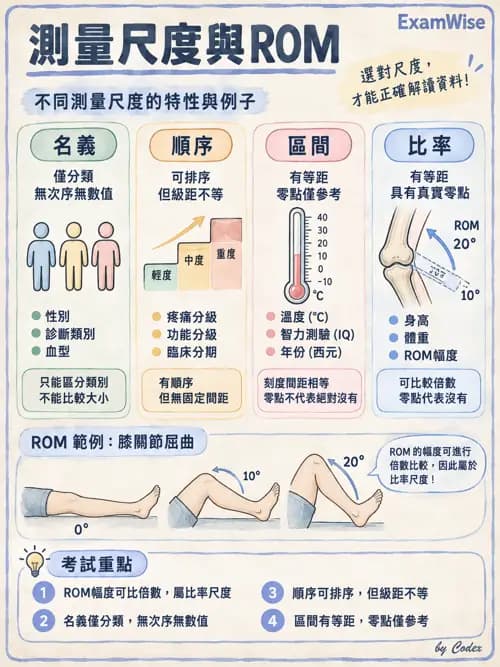 職治 - 評估與測量 - AI 圖文解析預覽