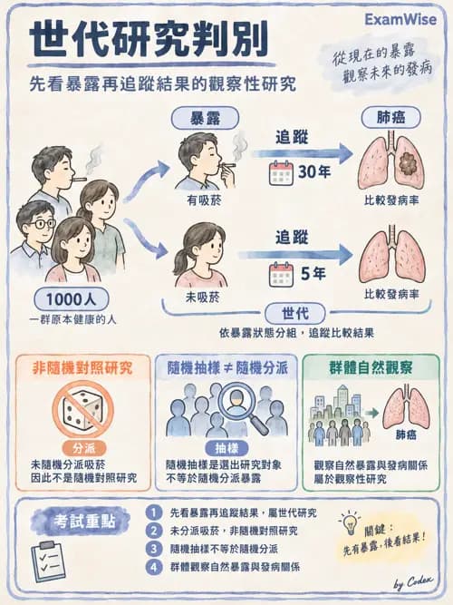 職治 - 實證職能治療 - AI 圖文解析預覽