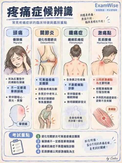 職治 - 骨科與風濕疾病 - AI 圖文解析預覽