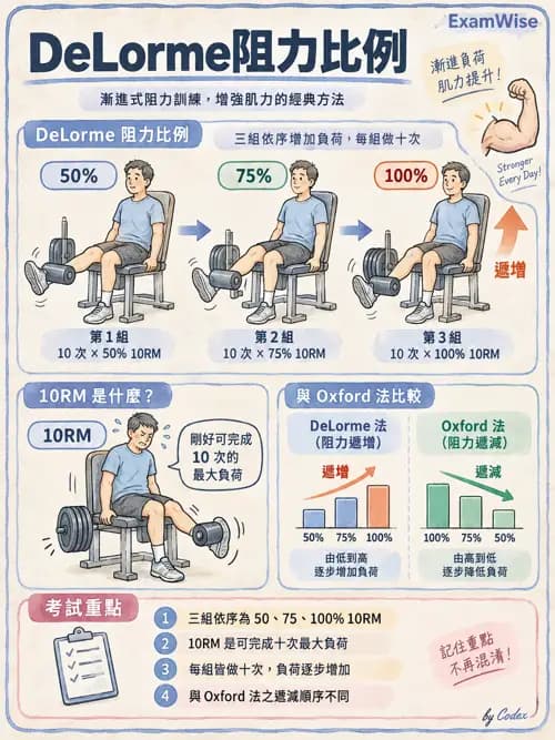 職治 - 動作功能與生物力學 - AI 圖文解析預覽