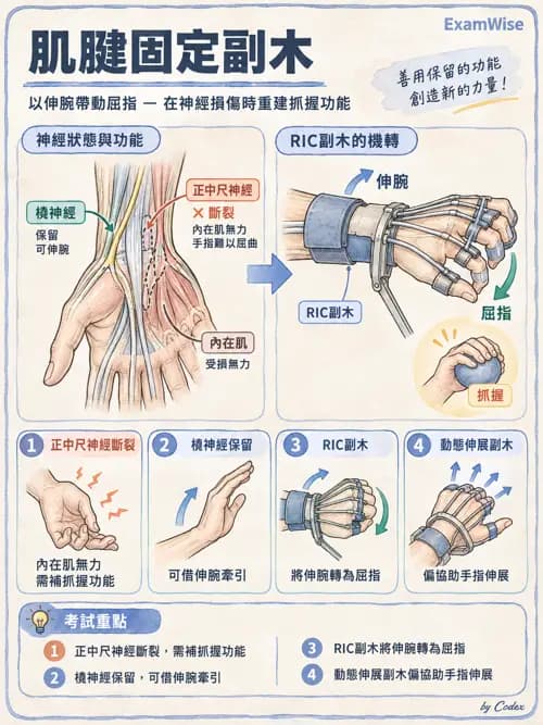 職治 - 副木與裝具 - AI 圖文解析預覽