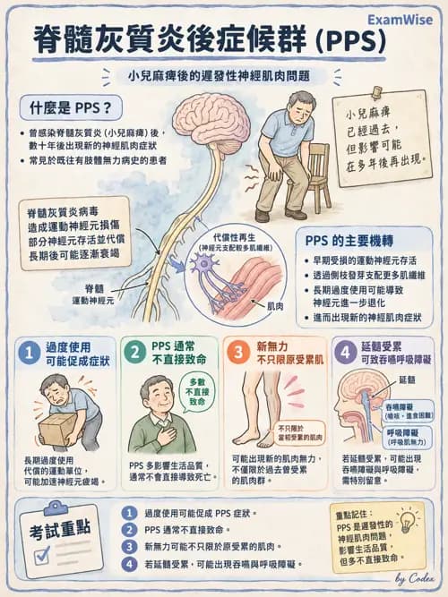 職治 - 神經退化與神經肌肉疾病 - AI 圖文解析預覽