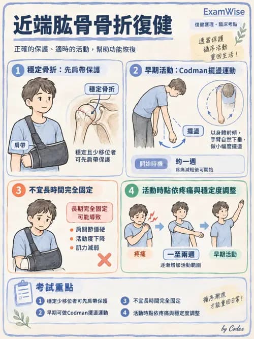 職治 - 骨科與風濕疾病 - AI 圖文解析預覽
