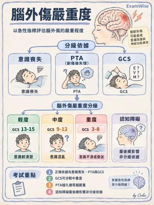 職治 - 腦中風與腦外傷 - AI 圖文解析預覽