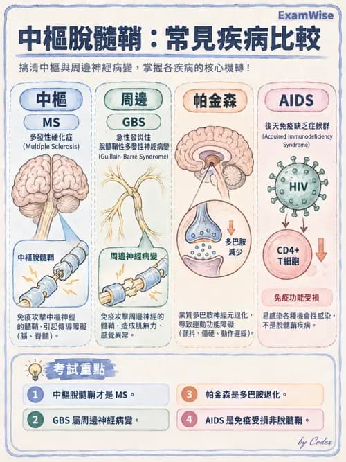 職治 - 神經退化與神經肌肉疾病 - AI 圖文解析預覽