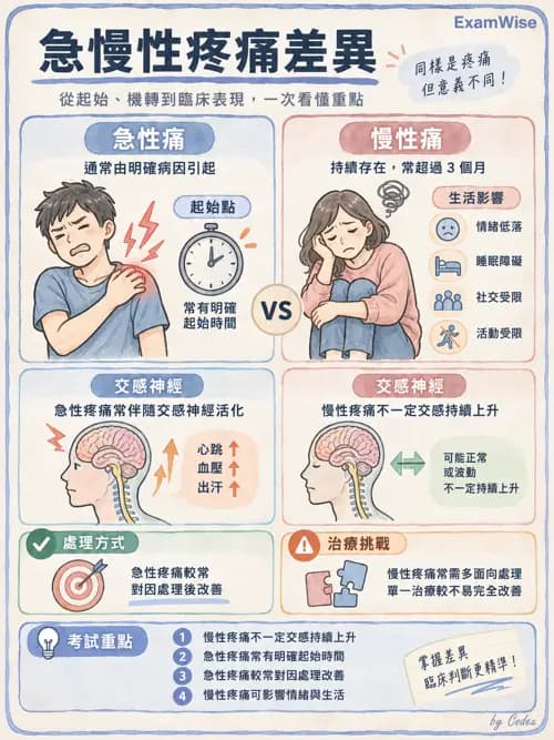 職治 - 疼痛、水腫與物理因子 - AI 圖文解析預覽
