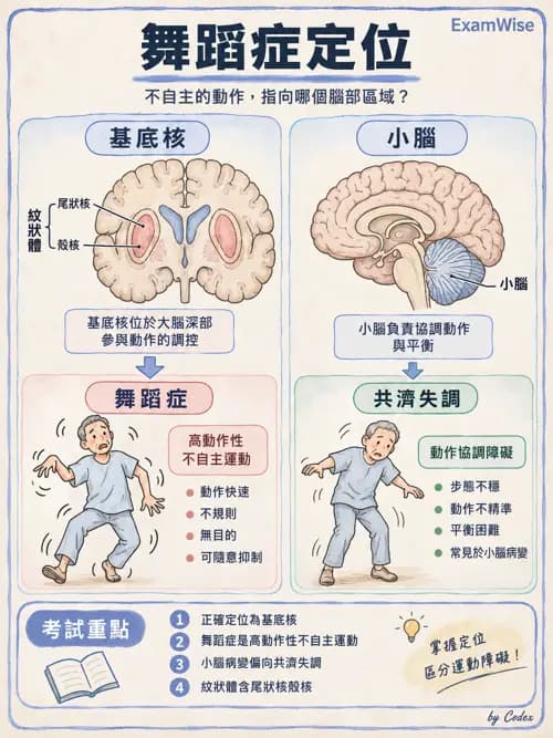 職治 - 神經退化與神經肌肉疾病 - AI 圖文解析預覽