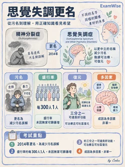 職治 - 思覺失調與情緒障礙 - AI 圖文解析預覽