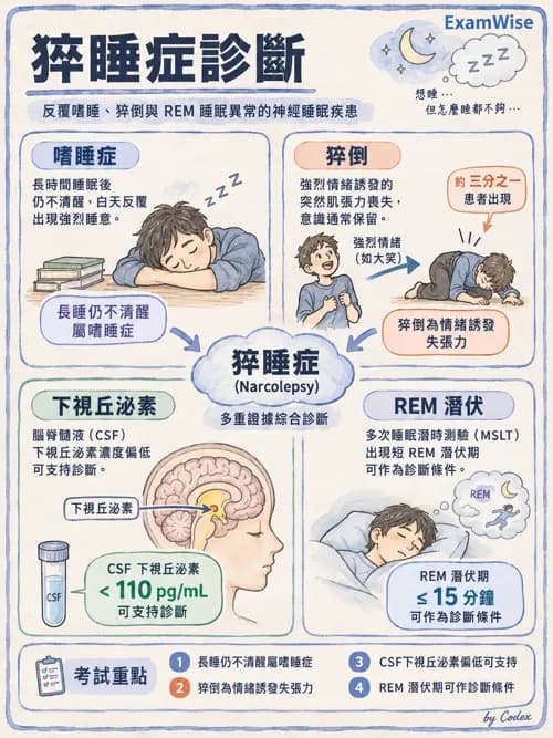 職治 - 焦慮、人格與其他精神疾患 - AI 圖文解析預覽
