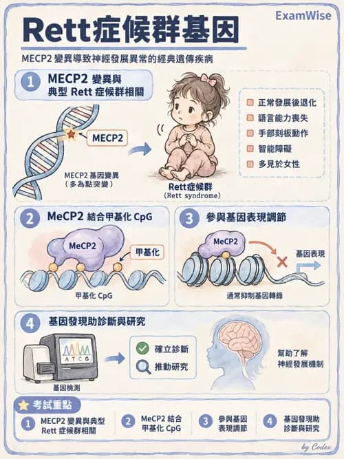 職治 - 兒童青少年心理衛生 - AI 圖文解析預覽
