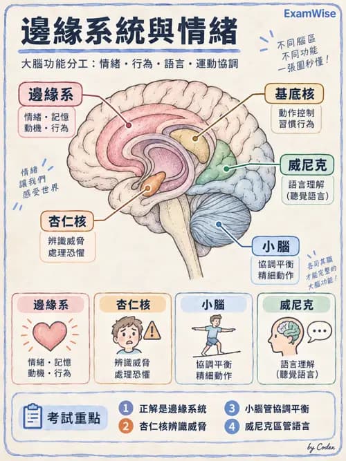職治 - 精神藥物與神經生物 - AI 圖文解析預覽