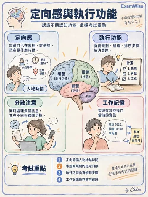 職治 - 認知取向與認知障礙模式 - AI 圖文解析預覽