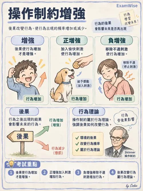 職治 - 學習理論與教練模式 - AI 圖文解析預覽