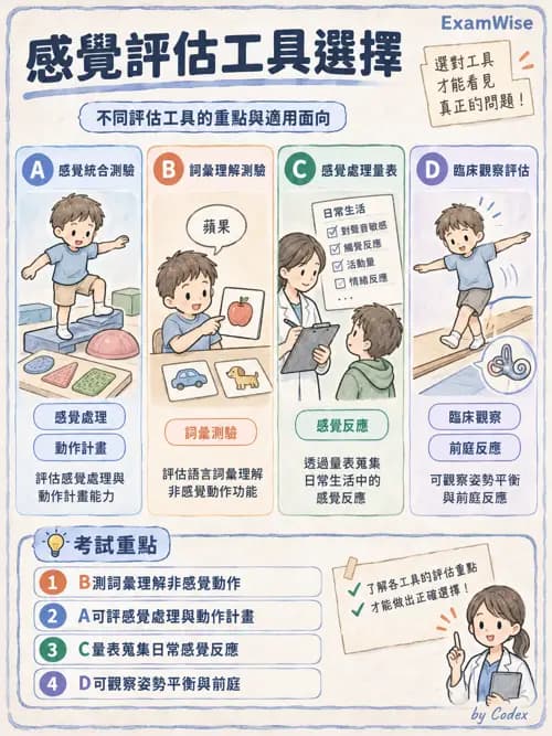 職治 - 感覺統合與感覺處理 - AI 圖文解析預覽