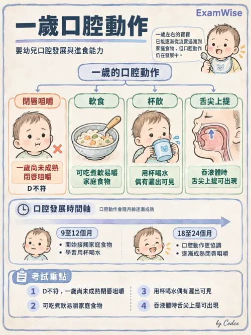 職治 - 進食、口腔動作與吞嚥 - AI 圖文解析預覽