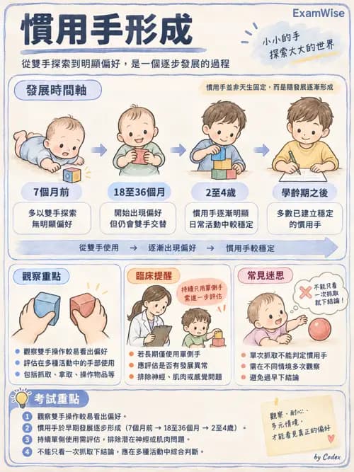 職治 - 動作發展與手功能 - AI 圖文解析預覽