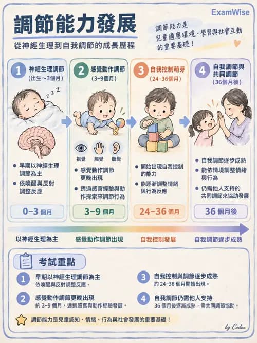職治 - 心理社會發展與行為 - AI 圖文解析預覽