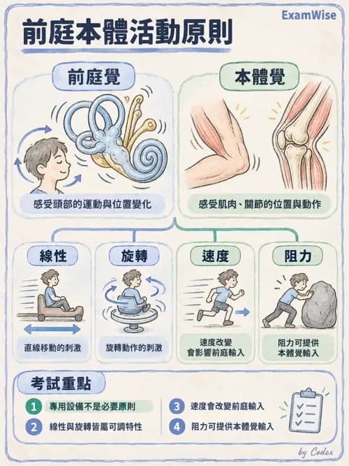 職治 - 感覺統合與感覺處理 - AI 圖文解析預覽