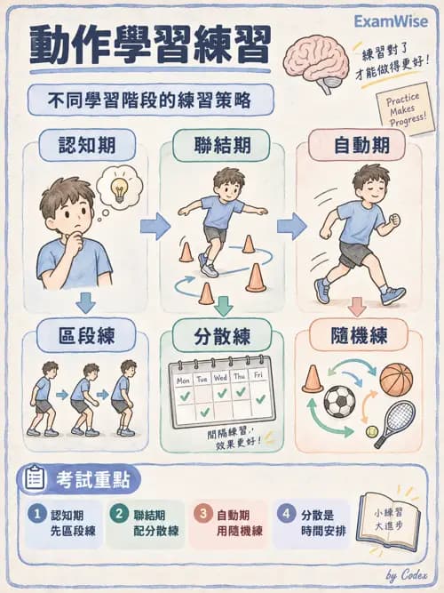 職治 - 動作相關參考架構 - AI 圖文解析預覽