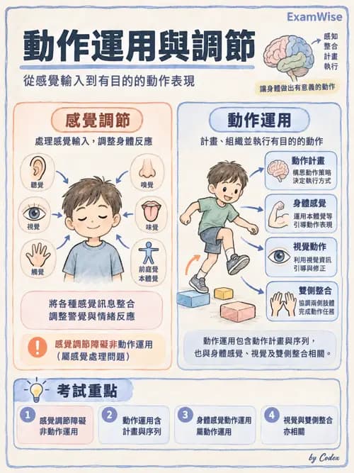 職治 - 感覺統合與感覺處理 - AI 圖文解析預覽