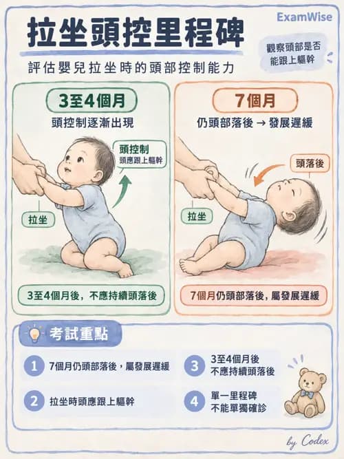 職治 - 動作發展與手功能 - AI 圖文解析預覽