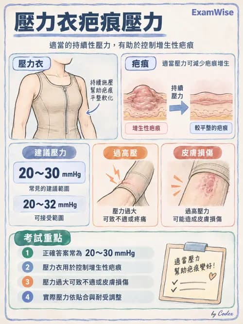 職治 - 神經動作與醫療相關診斷 - AI 圖文解析預覽
