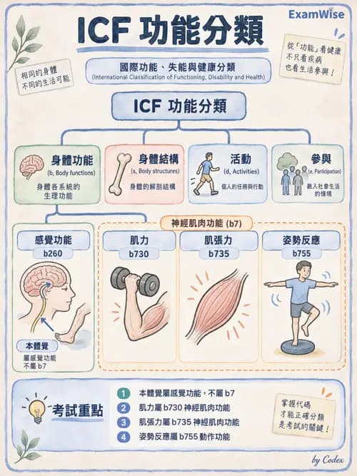 職治 - OTPF實務架構與ICF - AI 圖文解析預覽