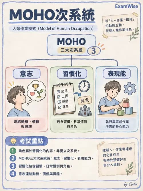 職治 - 參考架構、理論與臨床推理 - AI 圖文解析預覽