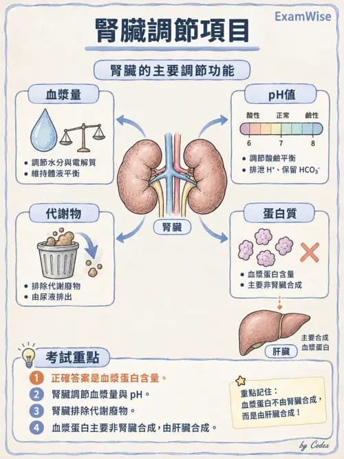 職治 - 腎臟、體液與酸鹼生理 - AI 圖文解析預覽