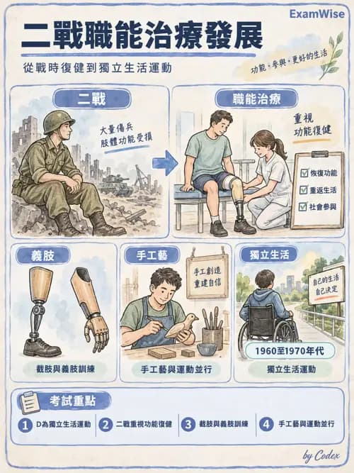 職治 - 歷史與專業發展 - AI 圖文解析預覽