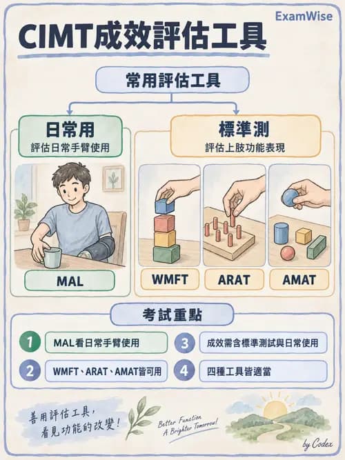 職治 - 評估與測量 - AI 圖文解析預覽