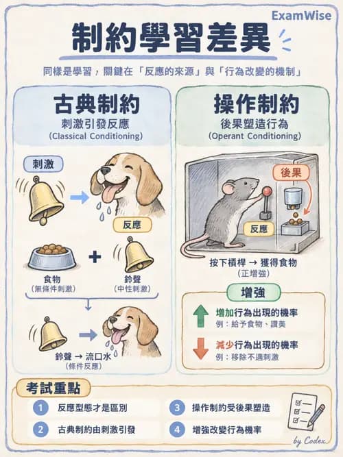 職治 - 參考架構與應用理論 - AI 圖文解析預覽