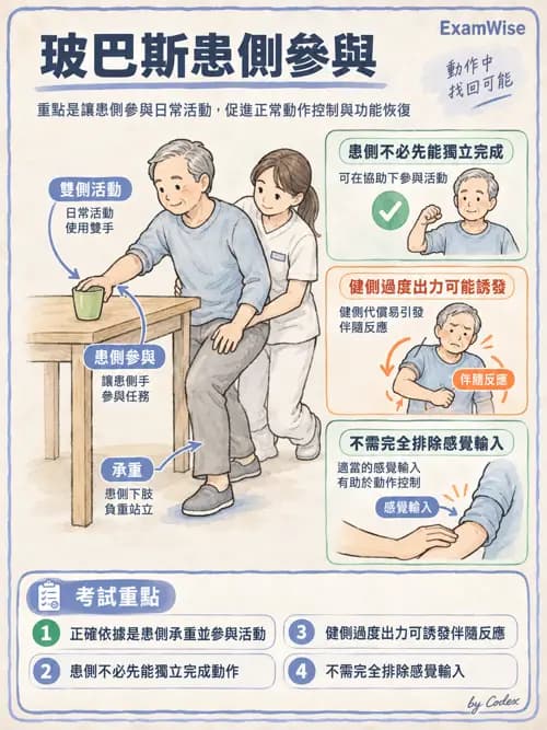 職治 - 神經動作治療理論 - AI 圖文解析預覽