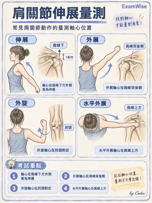 職治 - 動作功能與生物力學 - AI 圖文解析預覽