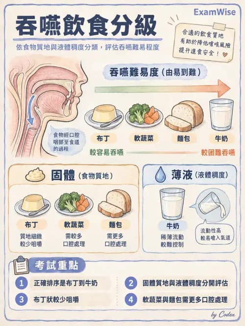 職治 - 日常生活活動、進食與吞嚥 - AI 圖文解析預覽