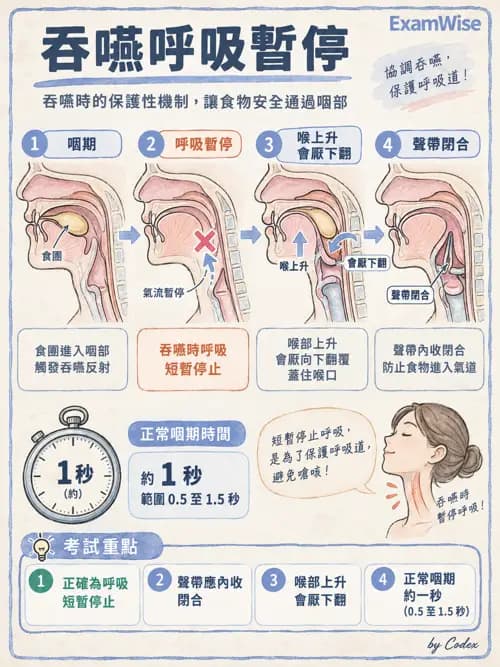 職治 - 日常生活活動、進食與吞嚥 - AI 圖文解析預覽