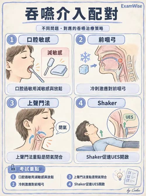 職治 - 日常生活活動、進食與吞嚥 - AI 圖文解析預覽