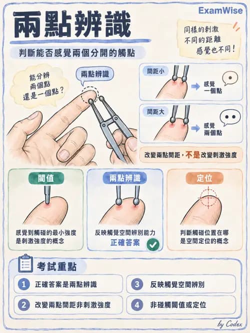 職治 - 感覺、視覺與知覺 - AI 圖文解析預覽