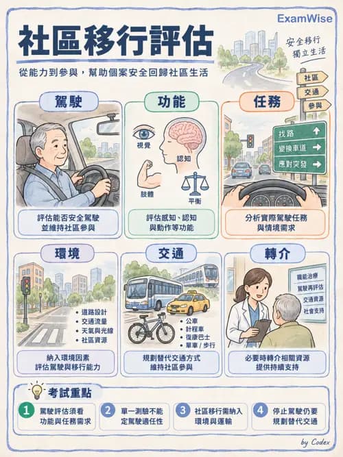 職治 - 工作、休閒與社區參與 - AI 圖文解析預覽