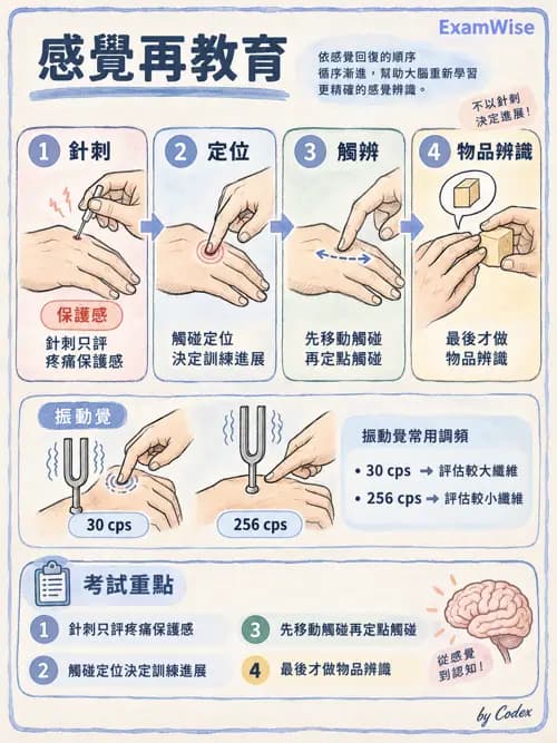職治 - 感覺、視覺與知覺 - AI 圖文解析預覽