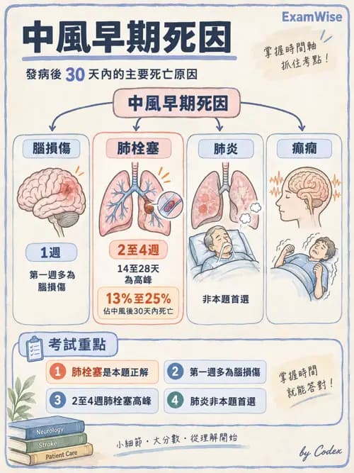 職治 - 腦中風與腦外傷 - AI 圖文解析預覽