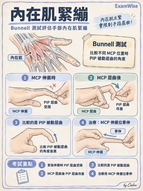 職治 - 手部與周邊神經損傷 - AI 圖文解析預覽