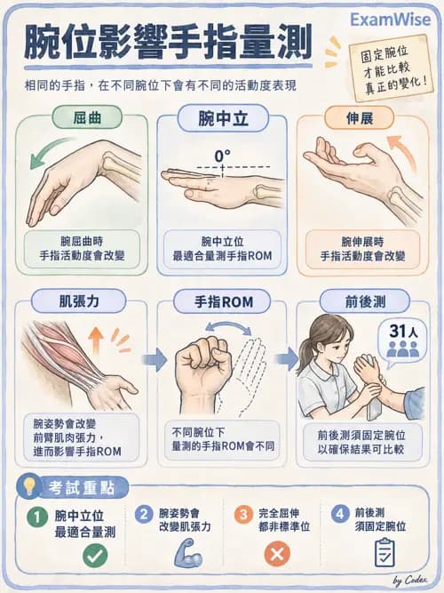 職治 - 動作功能與生物力學 - AI 圖文解析預覽