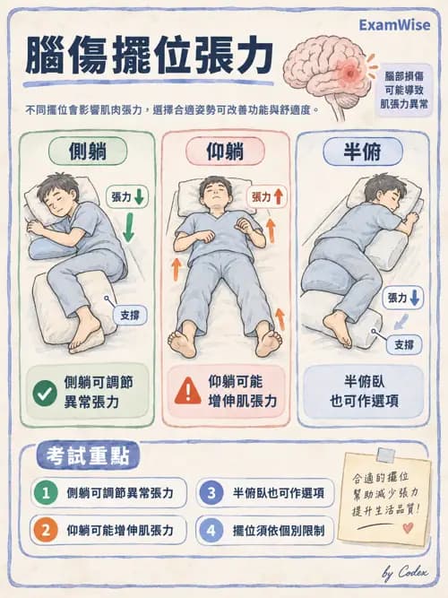 職治 - 腦中風與腦外傷 - AI 圖文解析預覽